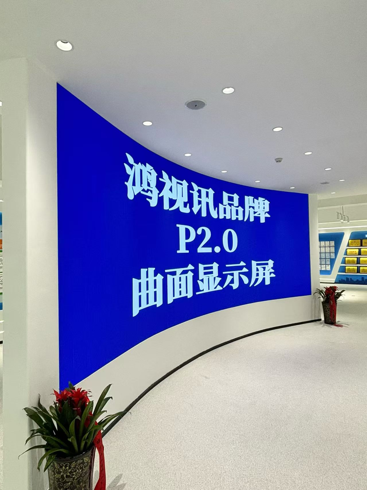 鸿视讯科技六安线上分站
